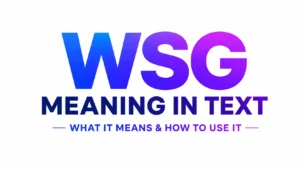 wsg-meaning-in-text