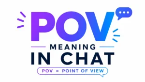 pov-meaning-in-chat