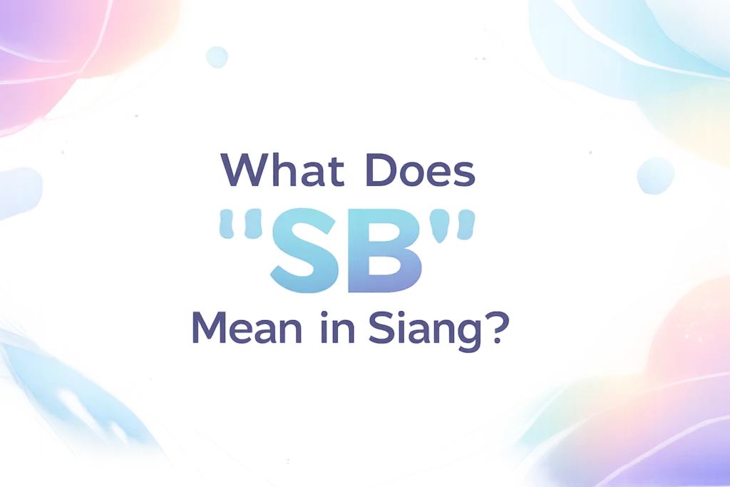 what-does-sb-mean-in-slang